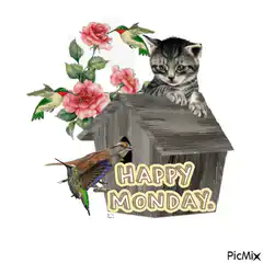 Happy Monday kitten birdhouse collage