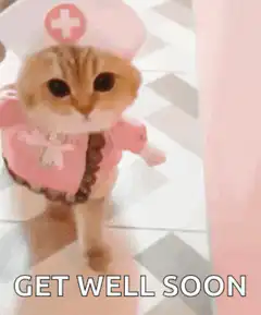 nurse cat get well soon