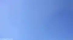 Orange kitten falling through blue sky