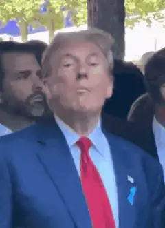 Donald Trump pointing finger then smirking