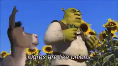 Shrek explains ogres are like onions