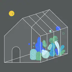 Sunbeam shining into a plant terrarium