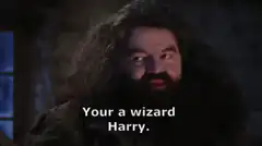Hagrid tells Harry he's a wizard