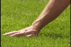 man stretching on grass