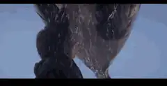 man screaming under whale tail