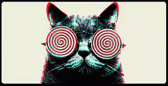 Hypnotic Cat Glasses