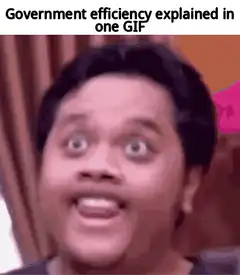 Government efficiency explained in one GIF