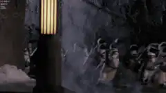 Penguins in harnesses running