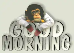 Chimp Good Morning
