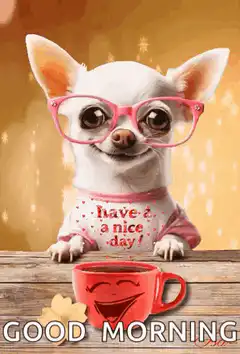 Winking chihuahua good morning