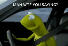 Kermit the Frog Man WTF You Saying