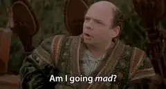 Am I going mad?