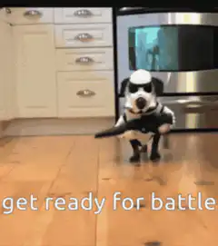 Stormtrooper dog running with blaster