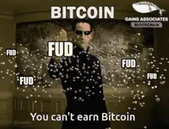 Neo dodging FUD bubbles