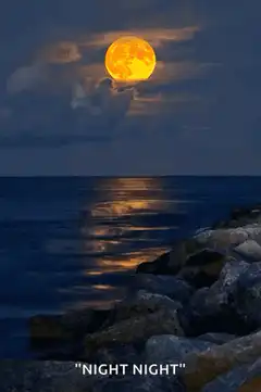 Full Moon Over Ocean at Night