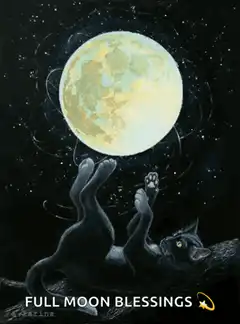 Black cat reaching for full moon