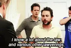 Charlie Day I know a lot about the law