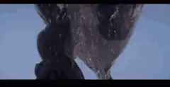 Man screaming as whale tail slams down