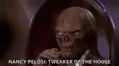 Nancy Pelosi Tweaker of the House