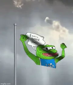 Feels Good Man Flag