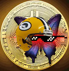 Green Bay Packers Helmet Doge Coin