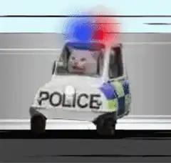 police car cat meme