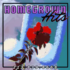 Homegrown Hits album cover