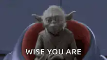 Yoda Wise You Are