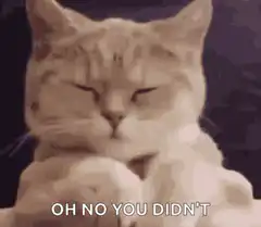 Oh No You Didn't Cat