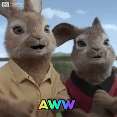 Cute rabbits reacting with AWW