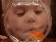 Child kissing goldfish in bowl