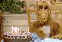 Alf blows out birthday candles