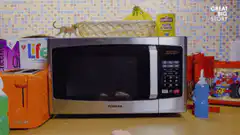Hands cleaning microwave with sponge