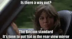Is there a way out? The Bitcoin standard
