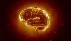Glowing rotating human brain