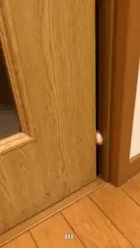 cat peeking through door crack