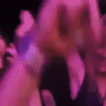 Donald Trump dancing at a concert