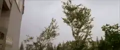 Woman in white dress kicks camera