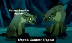 Hyenas chanting slopes