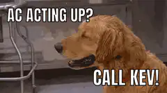 AC Acting Up Call Kev Dog