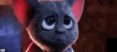 Sad grey cat with big eyes
