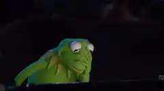 Kermit the Frog facepalm