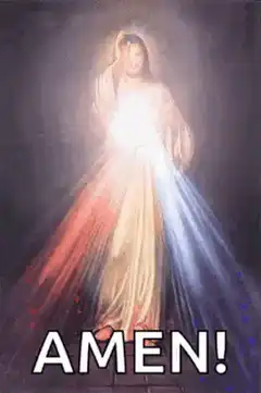 Divine Mercy Jesus Amen