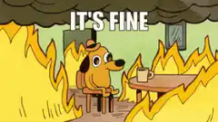 Dog sitting in burning room it's fine