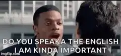Do You Speaka The English I Am Kinda Important