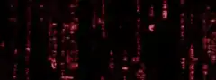 Your democracy has been hacked