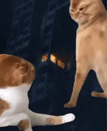 cat slaps cat