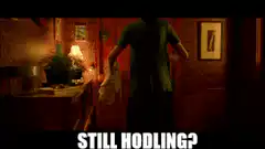 Still Hodling?