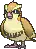 Pidgey wearing sunglasses
