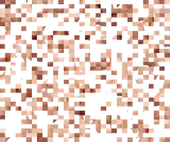 Pixelated skin texture pattern